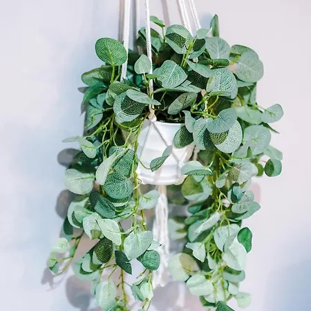 Gorgeous 2-bedroom Flat With Ensuite - Centre *