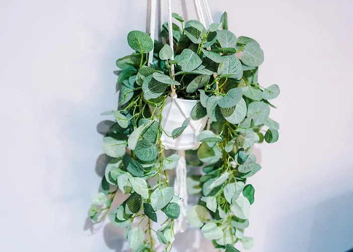 Gorgeous 2-bedroom Flat With Ensuite - Centre *